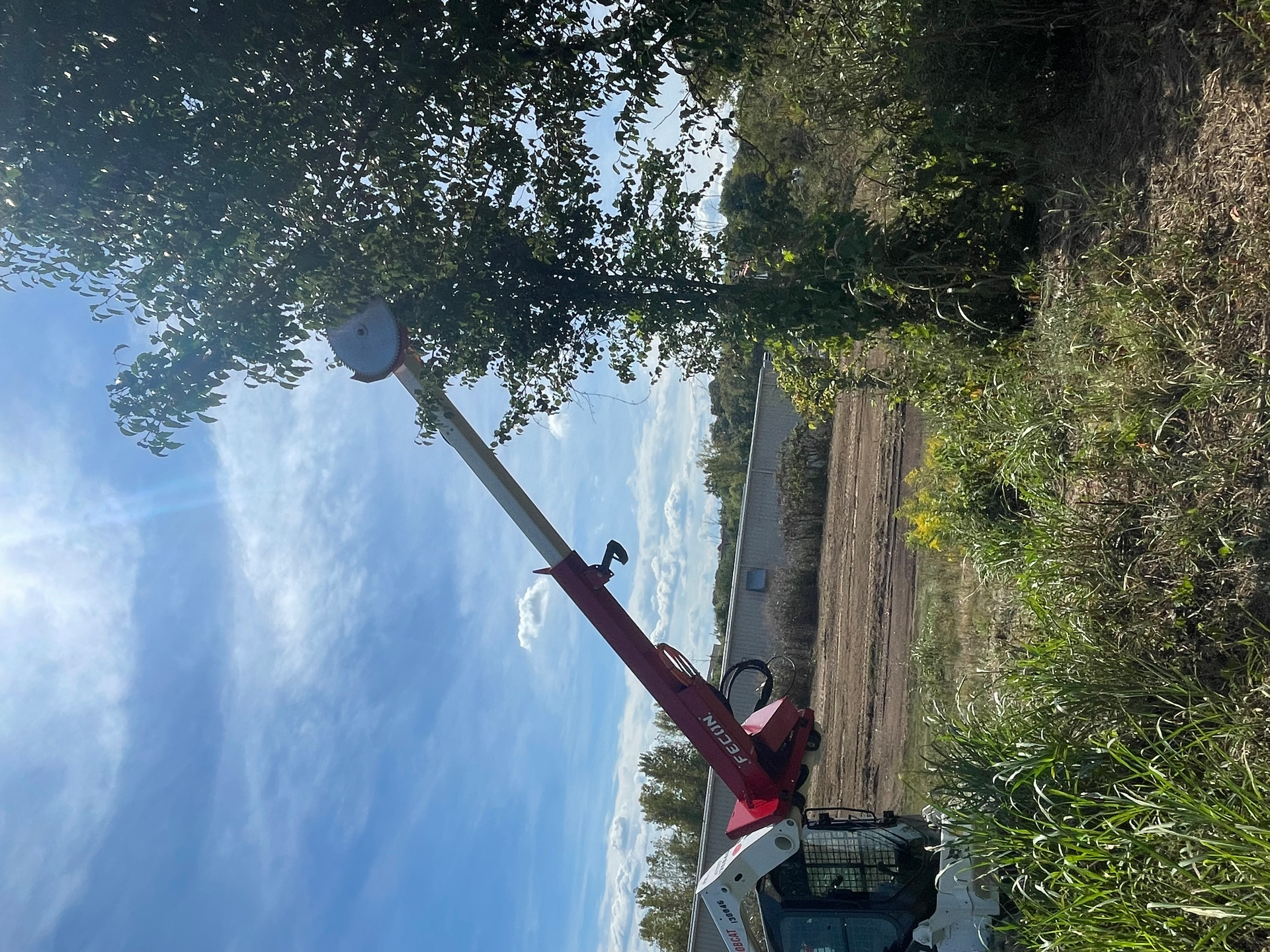 Fecon Tree Frog Fcn Trim Ex Nov 23