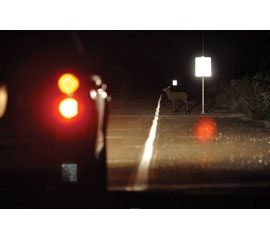 1653429466447 Sb 3retro Deer2