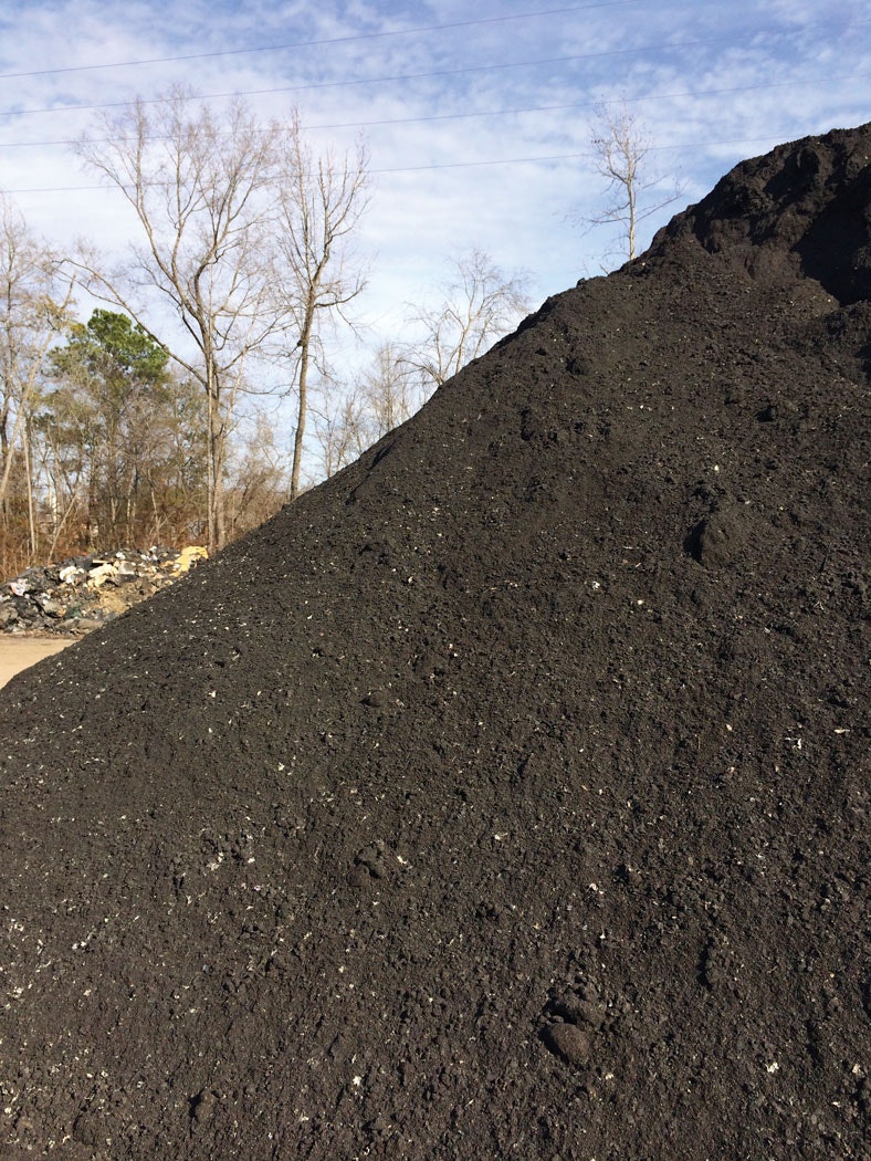 1653429576351 Ras Img 0221