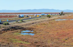 RAT_FraserShilling RAT_FraserShilling