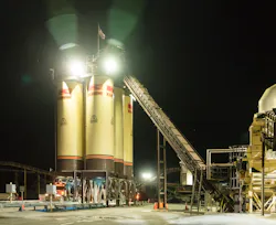 006%20Night%20Plant%20Vertical 006%20Night%20Plant%20Vertical