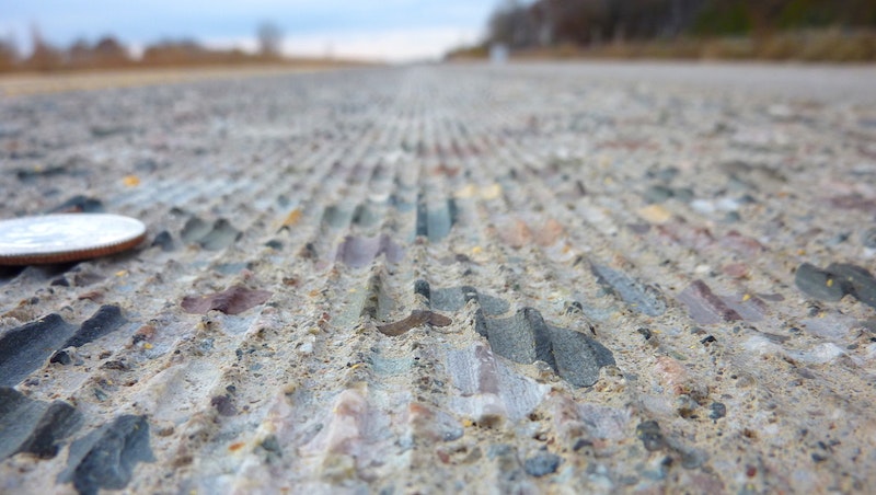 1654617850592 Dg Close Up Courtesy J Roberts