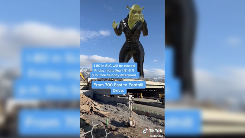 1654797837055 Udotshrek