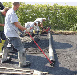 1654804145968 Allenroller 1654804145968 Allenroller