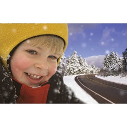 1654804279416 Cargilldeicer Rs