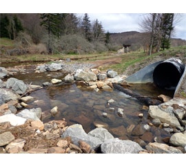 snaptite-fish-passage-roads-bridges