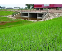 1654805032476 Prestotransitionmats120417 1654805032476 Prestotransitionmats120417