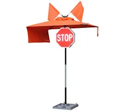 1654805477834 Flaggerjoe Ps 1654805477834 Flaggerjoe Ps