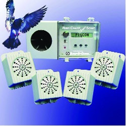 1654805630714 Untitled72