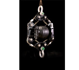 1654806083780 Imperialcrane Ps