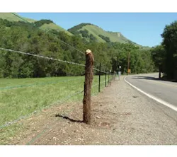 1654806253137 Bekaert Ps Fencing 1654806253137 Bekaert Ps Fencing