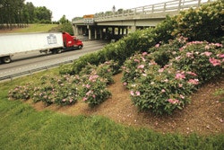 1654877989320 Basfpic