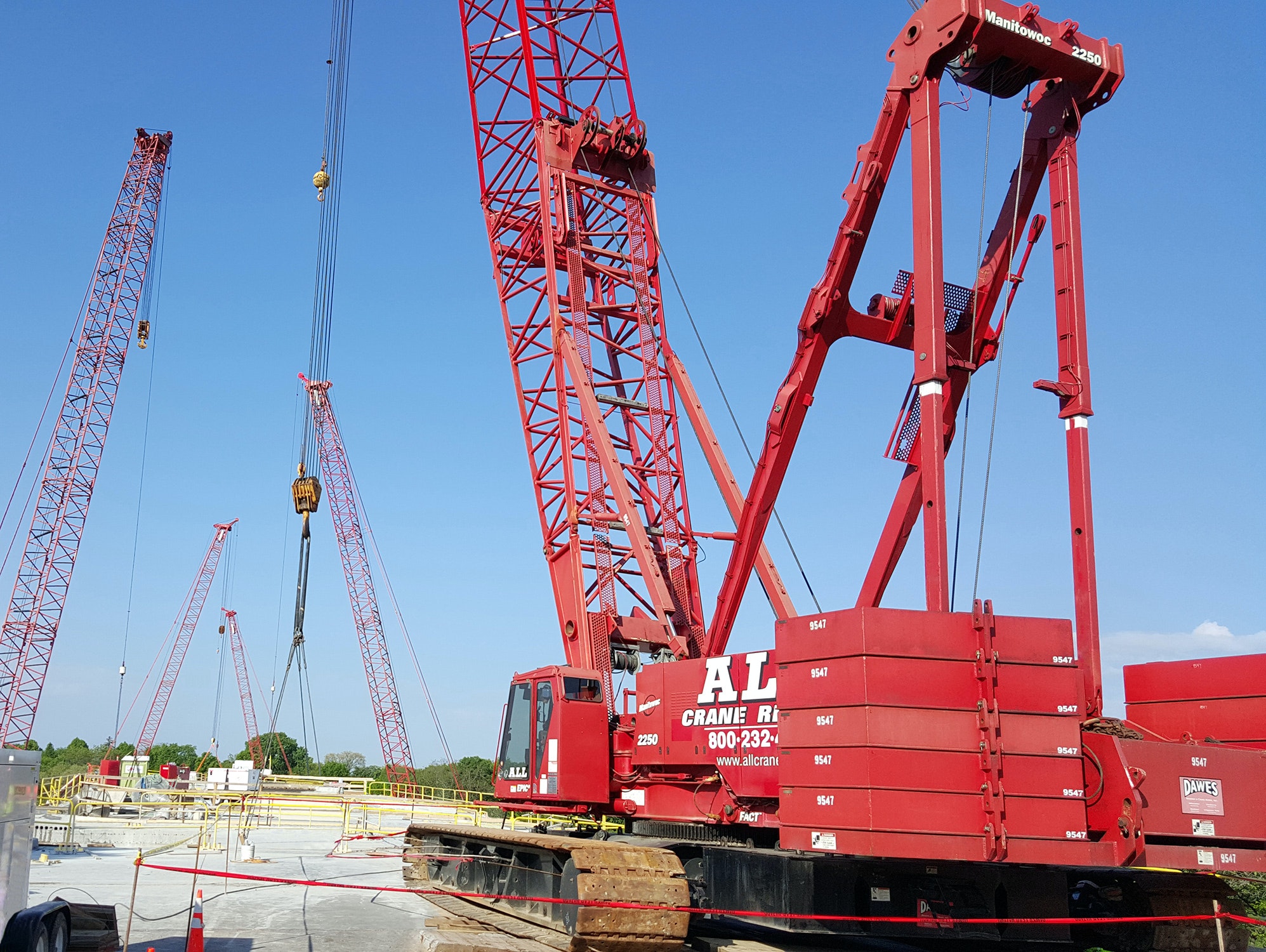 ALL COW Elk Mound_sm