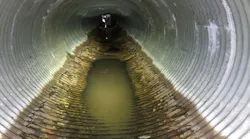 R&B_7-25_photo 1 R&B_7-25_photo 1