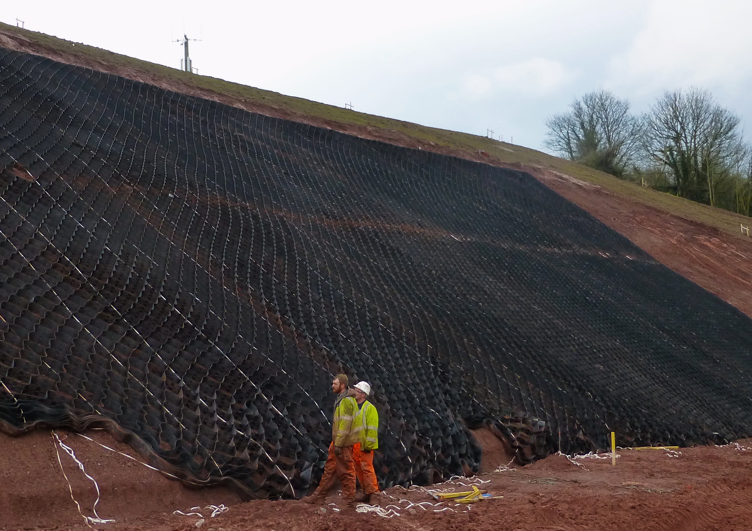 1654878228266 Credition 2