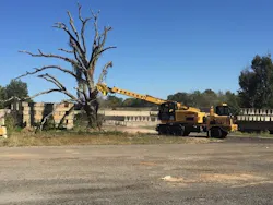 1654878229866 Img 0910 1654878229866 Img 0910