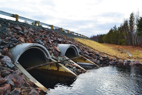 1655150177220 8 Img Rmb 20151126 Rte1173051