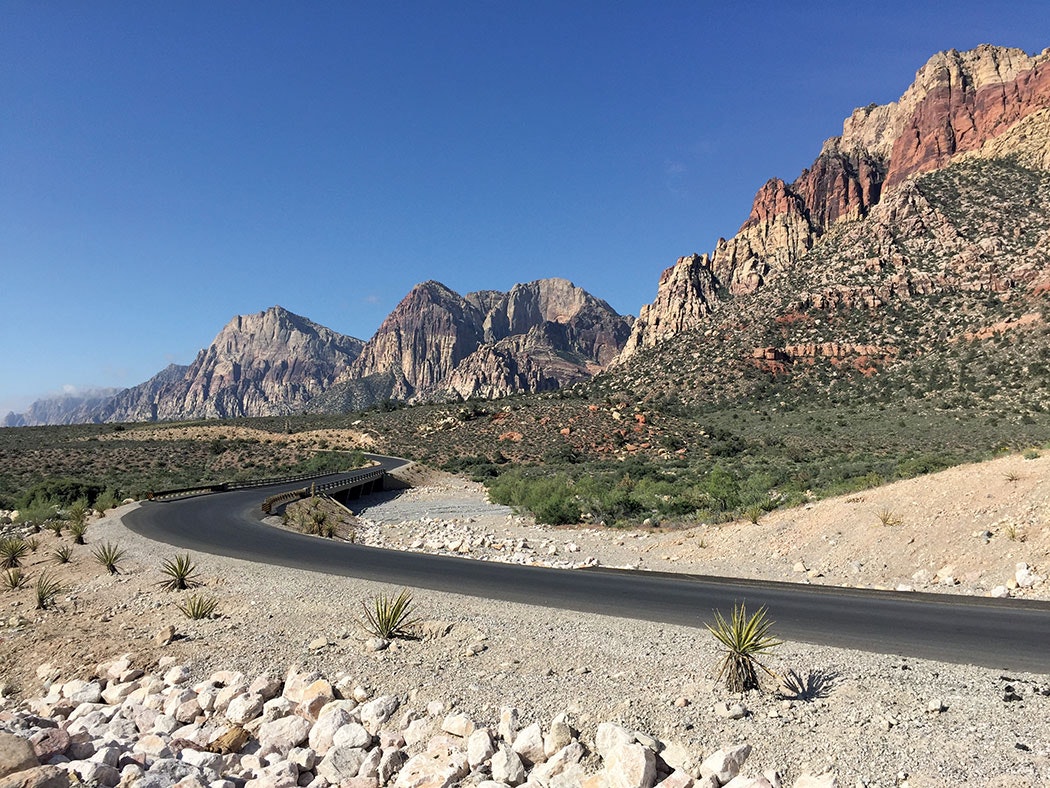 1655150236343 3 Img 0561