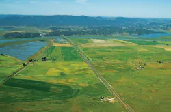 1655174212205 Rat Sr37 Sonoma Co 1655174212205 Rat Sr37 Sonoma Co