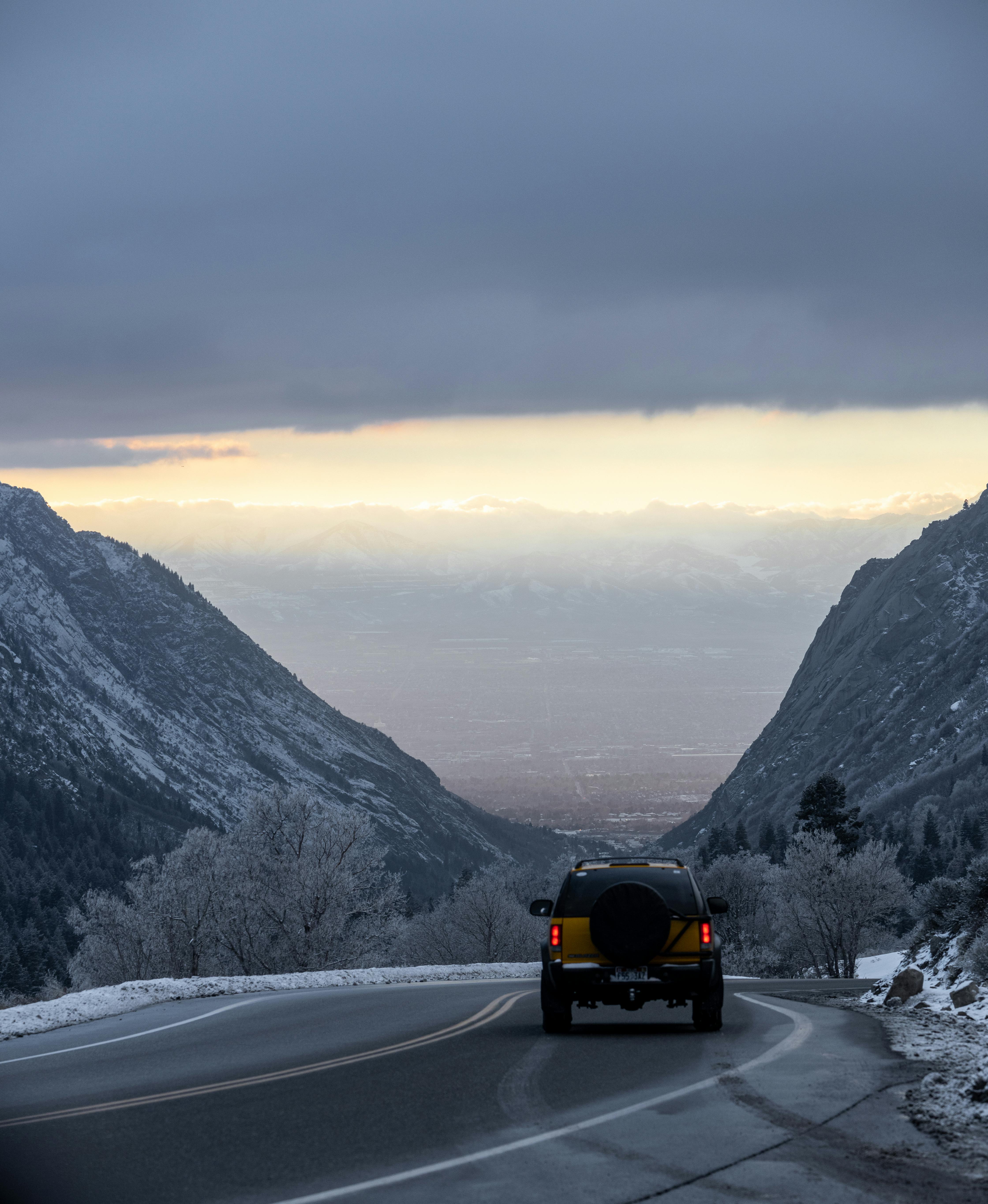 6684073f096a8e6d61a7b4b7 Dreamstime Xxl 317205327