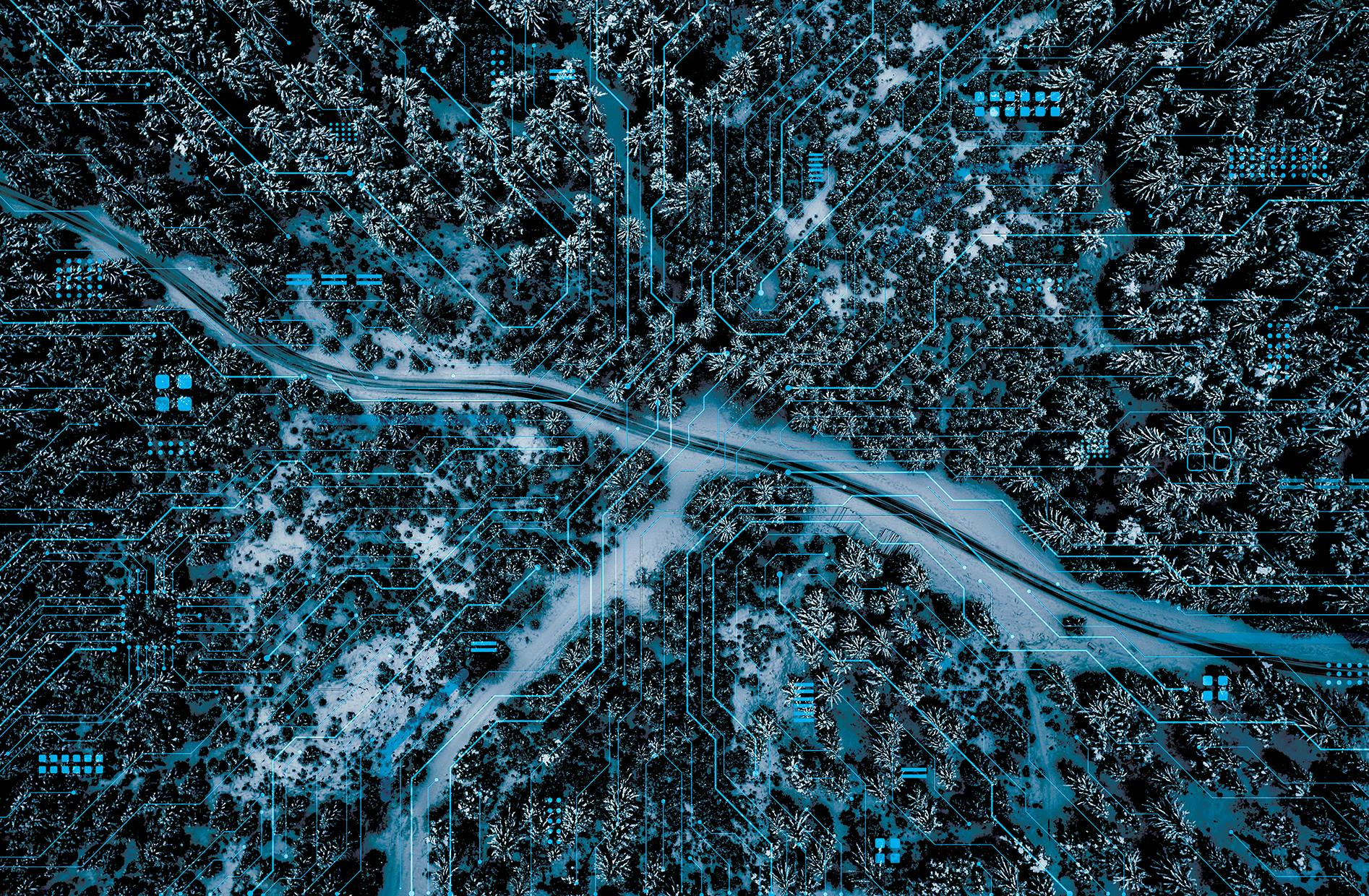 66c350cd89f8586e2d1f4921 Ai Lead Shutterstock 1936449103