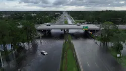 67092cec151d9b45fb8e9931 Milton 67092cec151d9b45fb8e9931 Milton