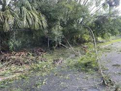 670e7a88d2074f0194b4a73f Dreamstime M 340157726 670e7a88d2074f0194b4a73f Dreamstime M 340157726