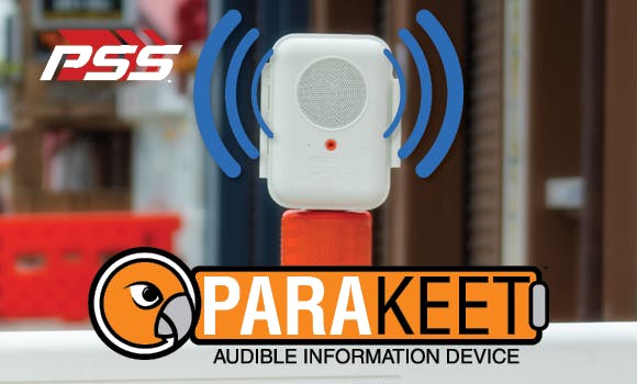 rb_parakeet_580x350_image_42920252_1