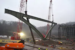 698374bb304fbe77829a9778 Cow 3 698374bb304fbe77829a9778 Cow 3