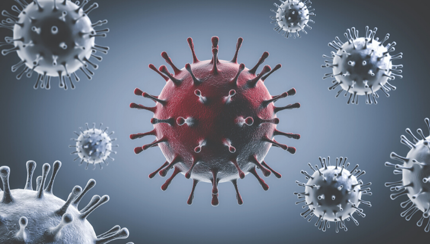 1660318280471 Herocovid4