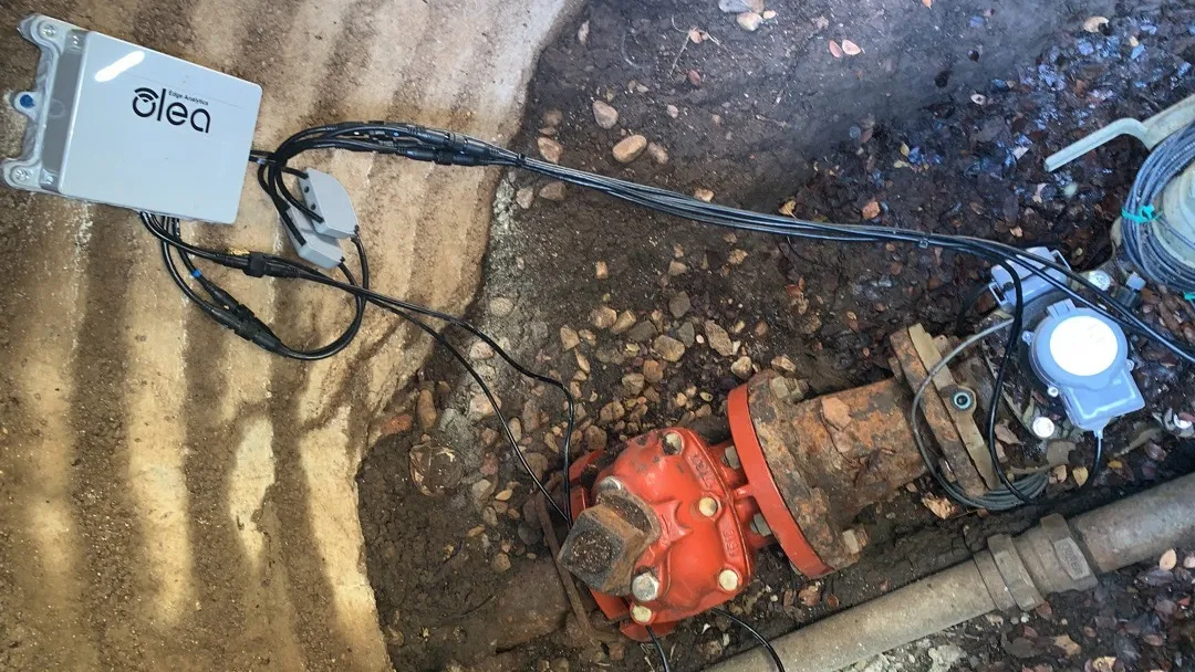1660343241605 Oleaedgesensors
