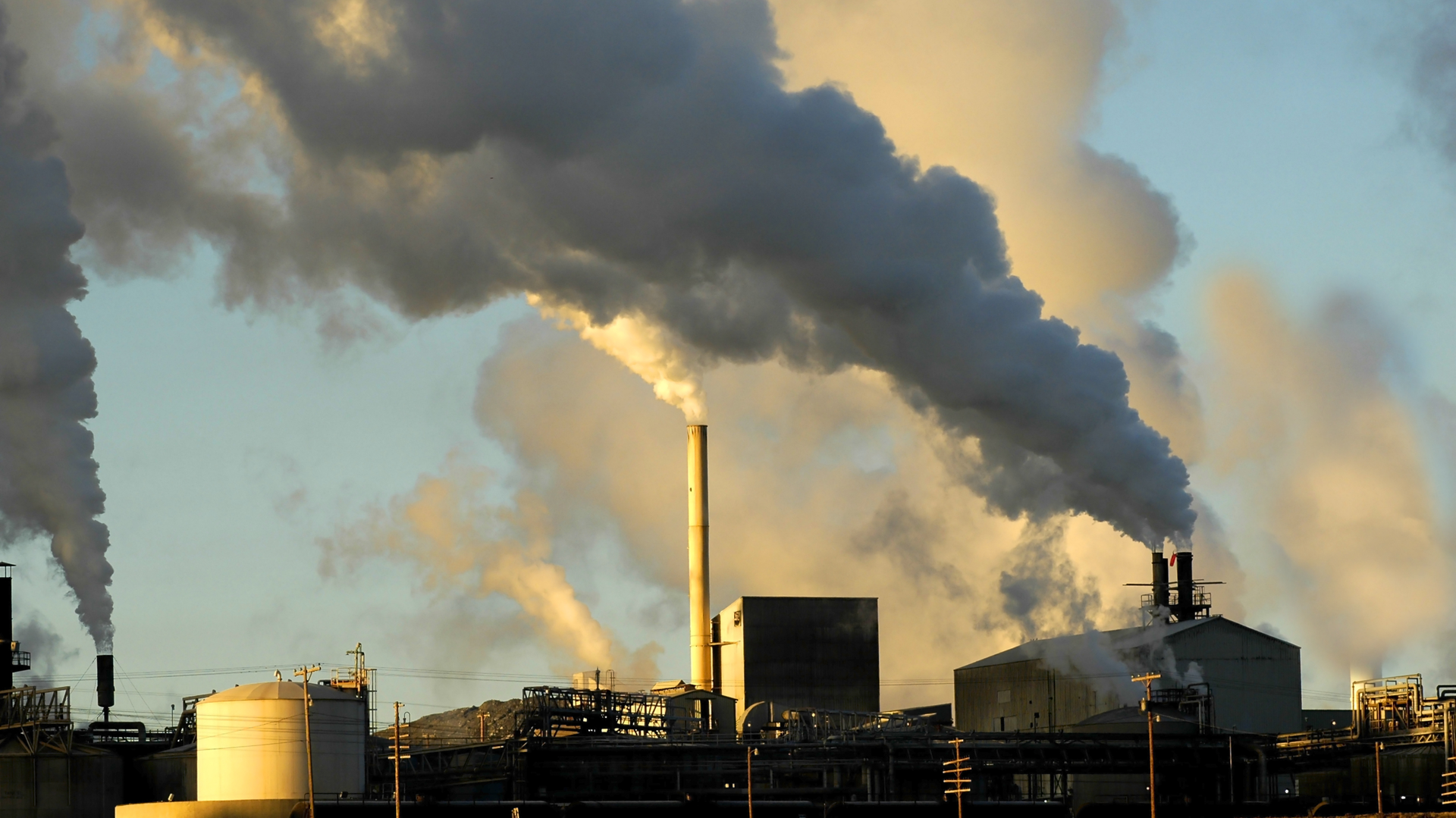 Dreamstime Xxl 1416920