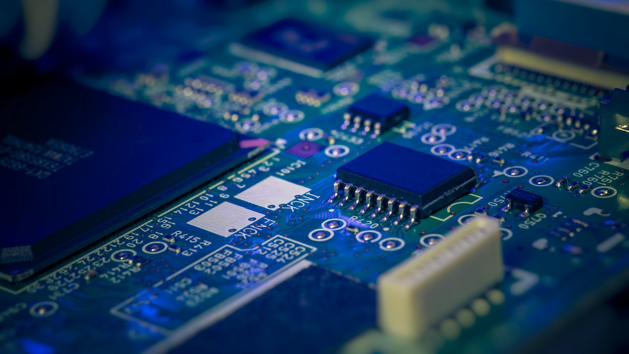 dreamstime_m_202769492