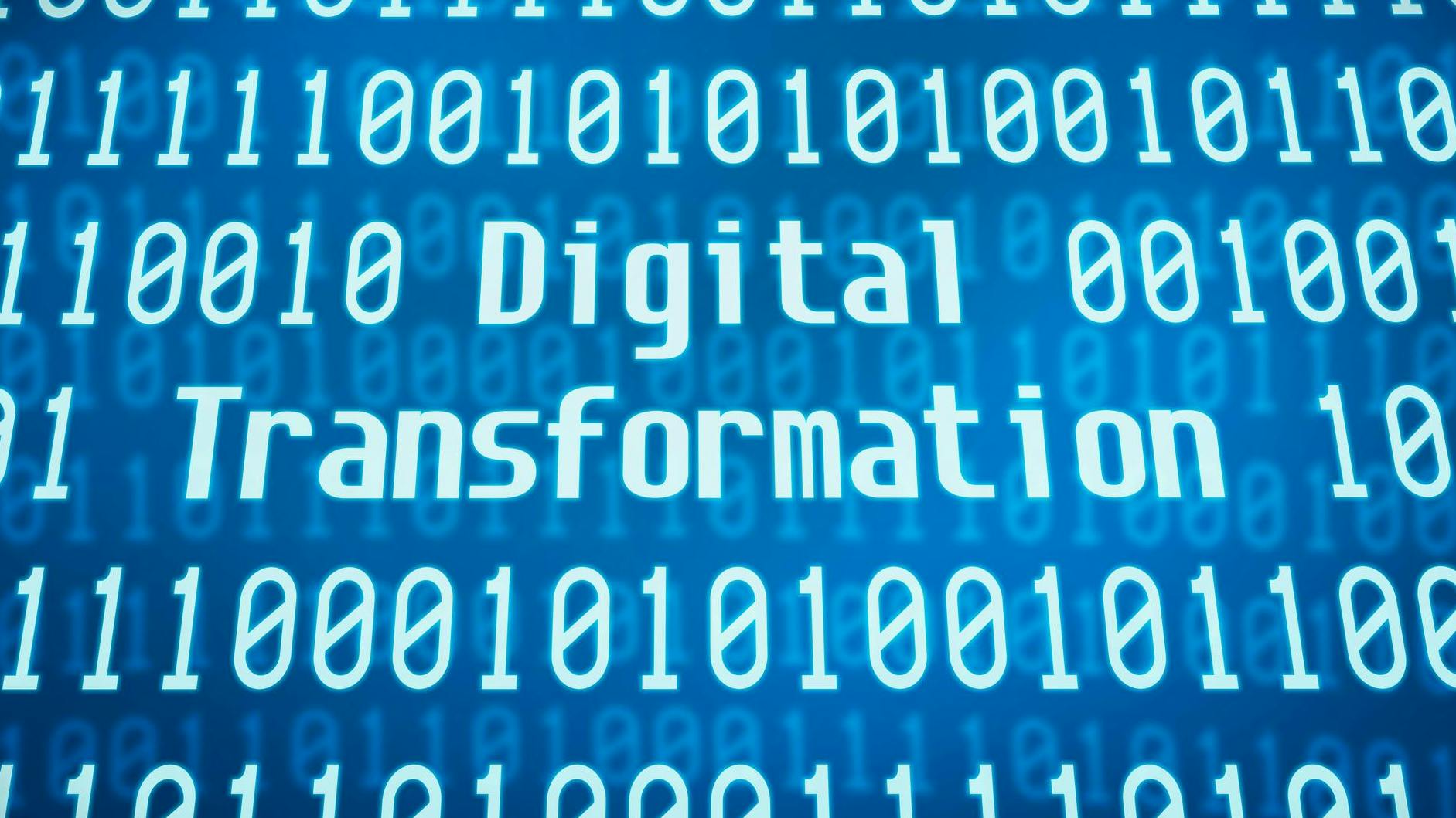 661804302a581b001f686f43 Dreamstime M 104480548