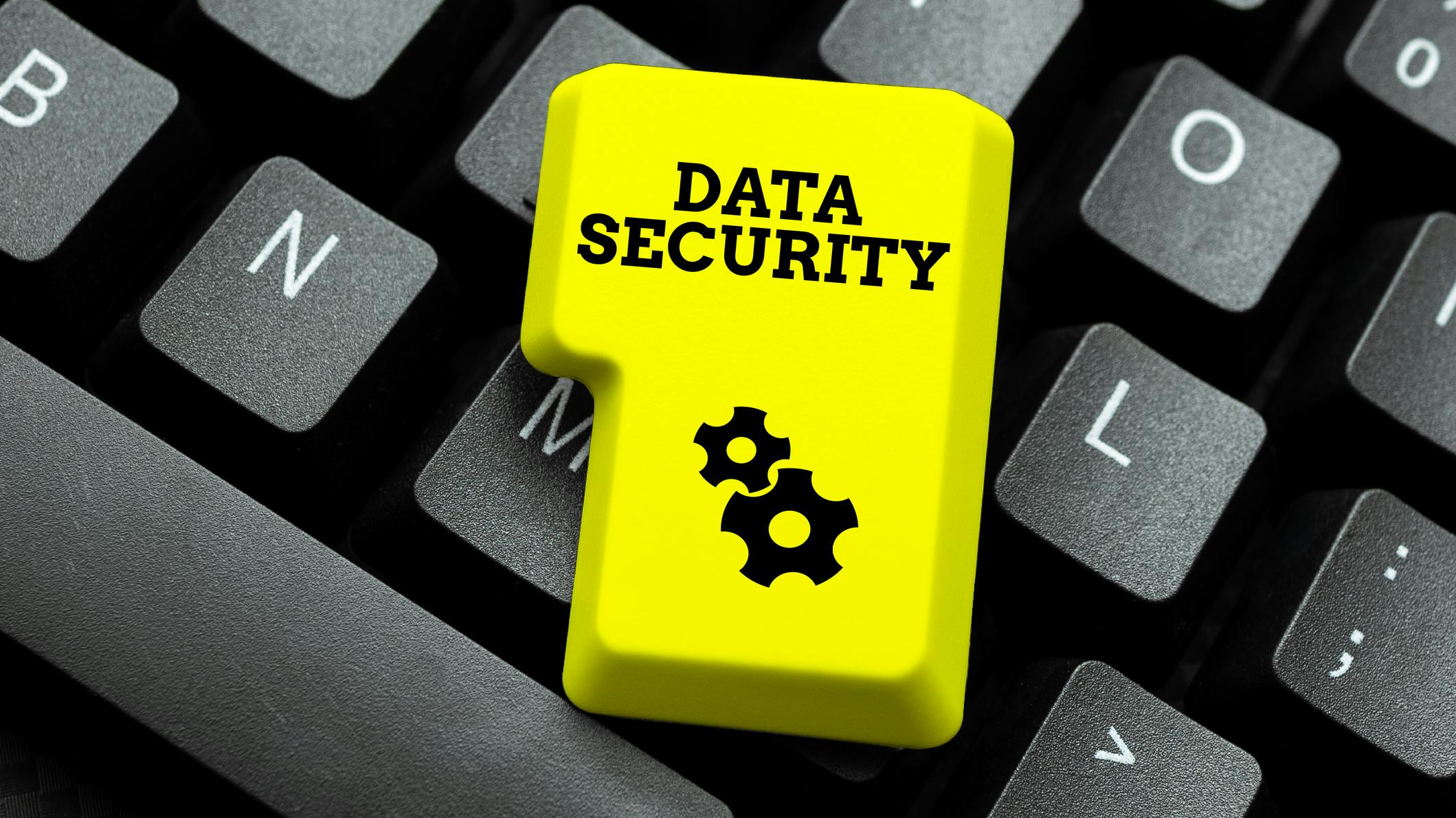 6797ea76a566c5920d3edc78 Dreamstime M 237968415