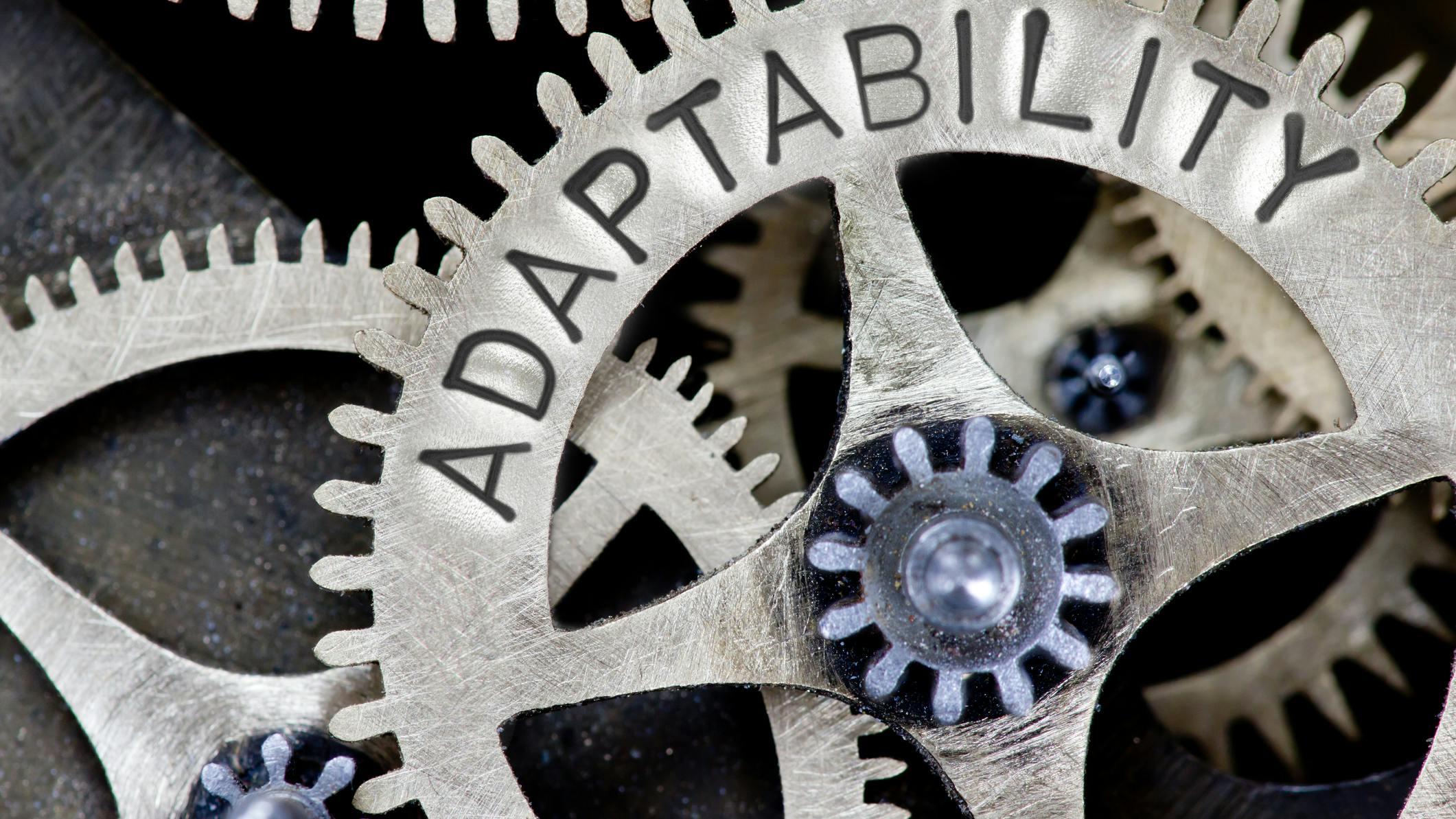 67eaea90f26a506321cbe839 Dreamstime M 89374005