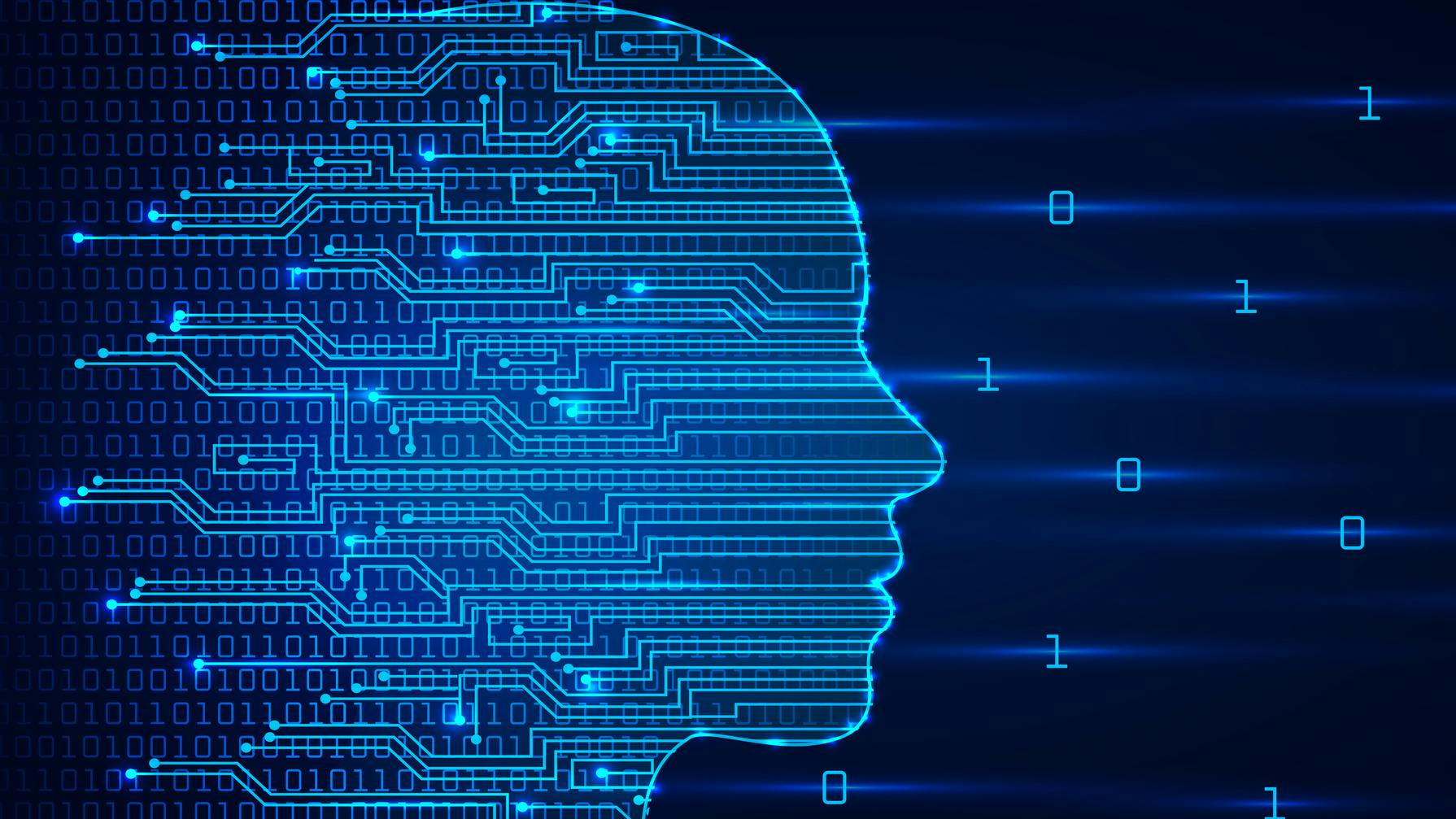 694064a3fc803a7669547222 Dreamstime M 156913026