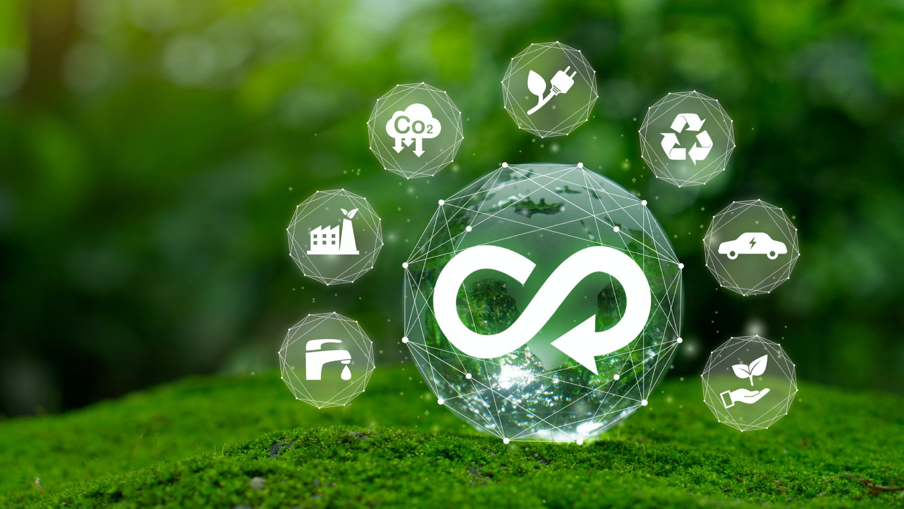 65c0e78fe619aa001ef13690 Dreamstime L 258626918