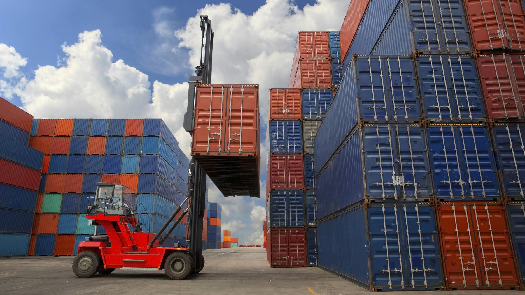 6793cebc1a121d5c680fd772 31325164