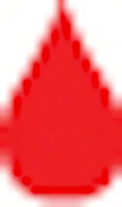 Sw Bug Web Sw Bug Web