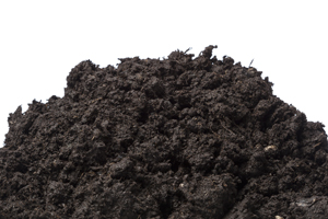 I Stock 000057804996 Sm2