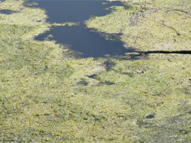 Asset Upload File966 56591