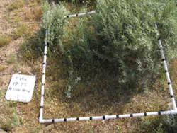 Ec1107 18 Lead Ec1107 18 Lead