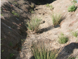 Asset Upload File653 86274