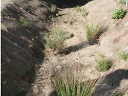 Asset Upload File653 86274 Asset Upload File653 86274