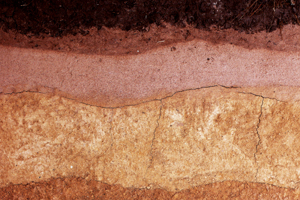 I Stock 000035515448 Small