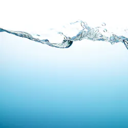 We1206 411 We1206 411