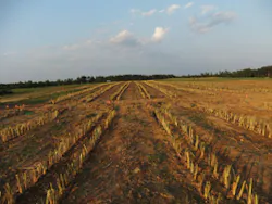 Gx1211 18 1 Gx1211 18 1