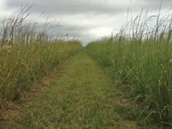 Gx1211 18 2 Gx1211 18 2