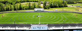 Sportsturf 71714